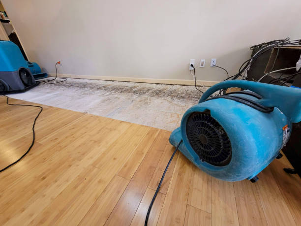Professional Flood Damage Cleanup technician working in Lombard, IL